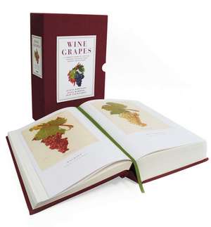 Wine Grapes: A Complete Guide to 1,368 Vine Varieties, Including Their Origins and Flavours de Jancis Robinson