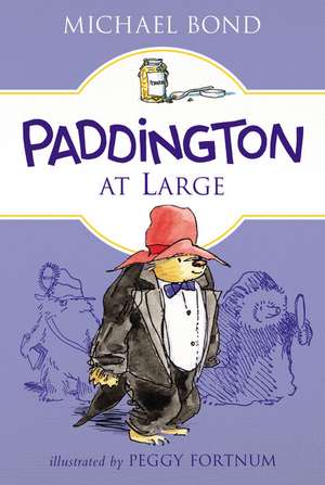 Paddington at Large de Michael Bond