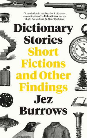 Dictionary Stories: Short Fictions and Other Findings de Jez Burrows