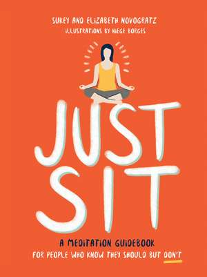 Just Sit: A Meditation Guidebook for People Who Know They Should But Don't de Sukey Novogratz