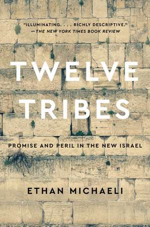 Twelve Tribes: Promise and Peril in the New Israel de Ethan Michaeli