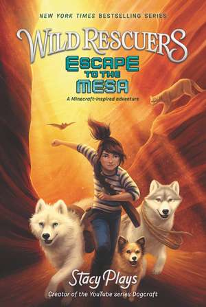 Escape to the Mesa de StacyPlays