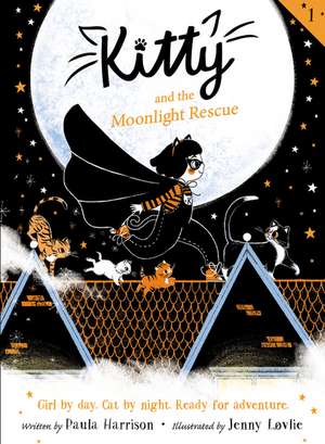 Kitty and the Moonlight Rescue de Paula Harrison