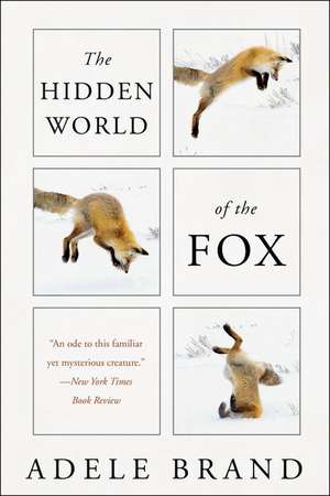 The Hidden World of the Fox de Adele Brand