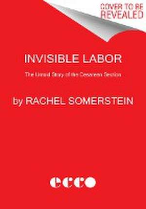 Invisible Labor de Rachel Somerstein