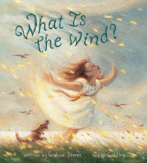 What Is the Wind? de Gideon Sterer