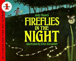 Fireflies in the Night de Judy Hawes