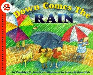 Down Comes the Rain de Dr. Franklyn M. Branley