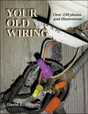 Your Old Wiring de David Shapiro