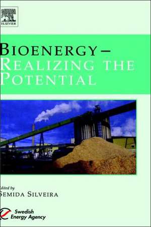 Bioenergy - Realizing the Potential de Dr. Semida Silveira