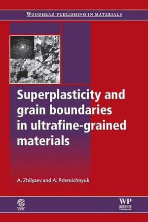 Superplasticity and Grain Boundaries in Ultrafine-Grained Materials de Peter M. Burgess