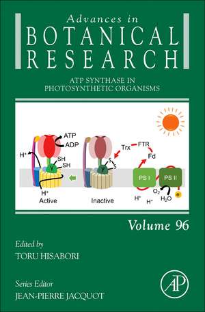 ATP Synthase in Photosynthetic Organisms de Toru Hisabori