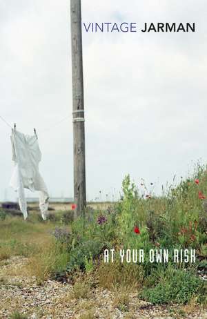 At Your Own Risk de Derek Jarman