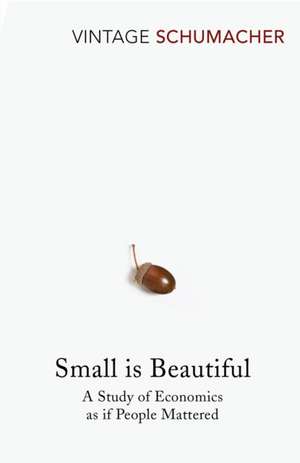 Small Is Beautiful de E F Schumacher