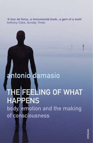 The Feeling Of What Happens de Antonio Damasio