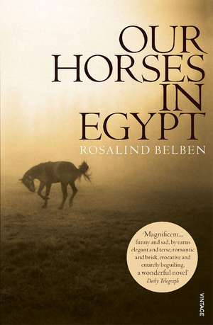 Our Horses in Egypt de Rosalind Belben