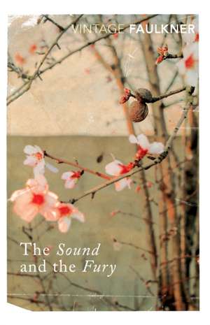 The Sound and the Fury de William Faulkner