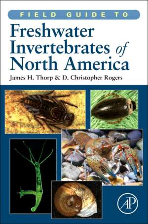 Field Guide to Freshwater Invertebrates of North America de James H. Thorp