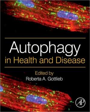 Autophagy in Health and Disease de Roberta A. Gottlieb