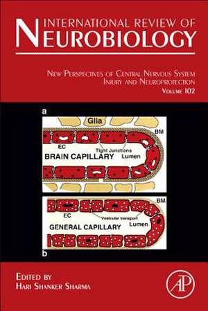 New Perspectives of Central Nervous System Injury and Neuroprotection de Hari Shanker Sharma