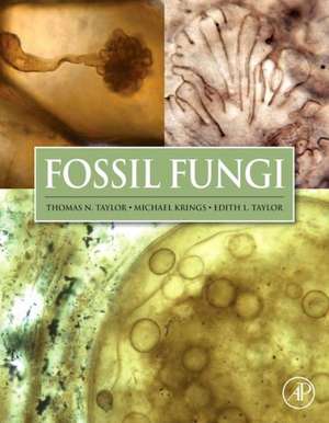 Fossil Fungi de Thomas N Taylor