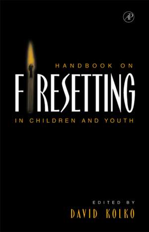 Handbook on Firesetting in Children and Youth de David J. Kolko