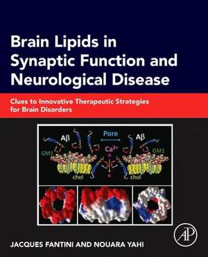 Brain Lipids in Synaptic Function and Neurological Disease: Clues to Innovative Therapeutic Strategies for Brain Disorders de Jacques Fantini