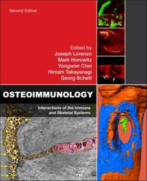 Osteoimmunology: Interactions of the Immune and Skeletal Systems de Joseph Lorenzo