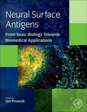 Neural Surface Antigens: From Basic Biology Towards Biomedical Applications de Jan Pruszak