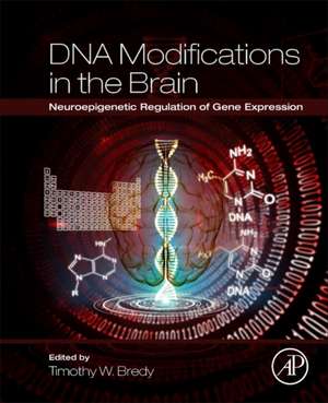 DNA Modifications in the Brain: Neuroepigenetic Regulation of Gene Expression de Timothy W Bredy