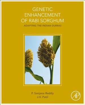 Genetic Enhancement of Rabi Sorghum: Adapting the Indian Durras de Sanjana Reddy