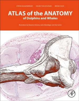 Atlas of the Anatomy of Dolphins and Whales de Stefan Huggenberger