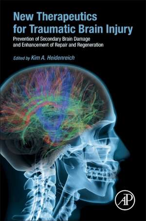 New Therapeutics for Traumatic Brain Injury: Prevention of Secondary Brain Damage and Enhancement of Repair and Regeneration de Kim Heidenreich