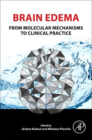 Brain Edema: From Molecular Mechanisms to Clinical Practice de Jerome Badaut