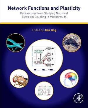 Network Functions and Plasticity: Perspectives from Studying Neuronal Electrical Coupling in Microcircuits de Jian Jing