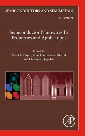 Semiconductor Nanowires II: Properties and Applications de Shadi A. Dayeh