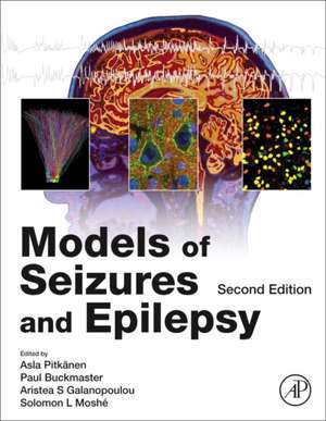 Models of Seizures and Epilepsy de Asla Pitkänen