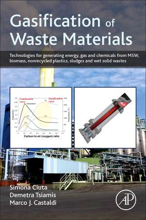 Gasification of Waste Materials: Technologies for Generating Energy, Gas, and Chemicals from Municipal Solid Waste, Biomass, Nonrecycled Plastics, Sludges, and Wet Solid Wastes de Simona Ciuta