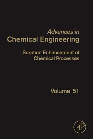 Sorption Enhancement of Chemical Processes de Angeliki Lemonidou