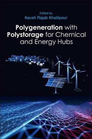 Polygeneration with Polystorage: For Chemical and Energy Hubs de Kaveh Rajab Khalilpour