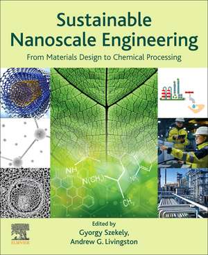 Sustainable Nanoscale Engineering: From Materials Design to Chemical Processing de Gyorgy Szekely