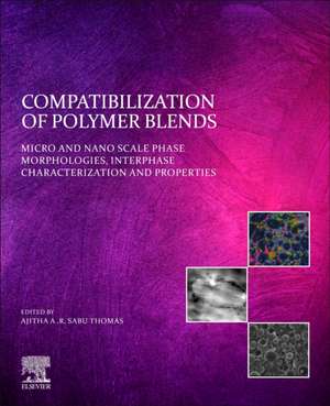 Compatibilization of Polymer Blends: Micro and Nano Scale Phase Morphologies, Interphase Characterization, and Properties de Ajitha A. R