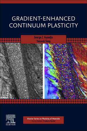 Gradient-Enhanced Continuum Plasticity de George Z. Voyiadjis