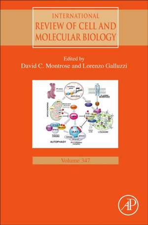 Cellular Nutrient Utilization and Cancer de David Montrose