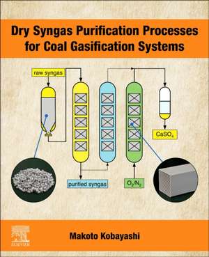 Dry Syngas Purification Processes for Coal Gasification Systems de Makoto Kobayashi