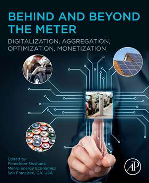 Behind and Beyond the Meter: Digitalization, Aggregation, Optimization, Monetization de Fereidoon Sioshansi