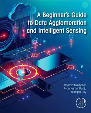 A Beginner's Guide to Data Agglomeration and Intelligent Sensing de Amartya Mukherjee