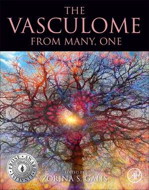 The Vasculome: From Many, One de Zorina S. Galis