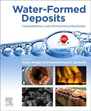 Water-Formed Deposits: Fundamentals and Mitigation Strategies de Zahid Amjad