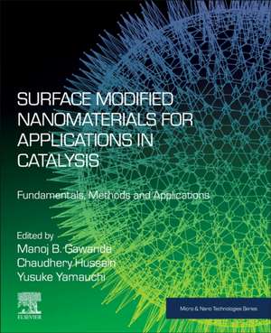 Surface Modified Nanomaterials for Applications in Catalysis: Fundamentals, Methods and Applications de Manoj B. Gawande